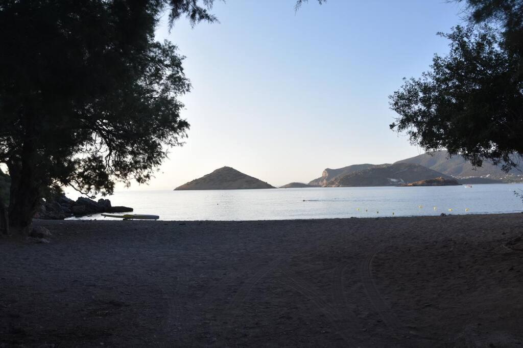 Modern Studio Next To The Sea! Πόρτο Ράφτη Εξωτερικό φωτογραφία