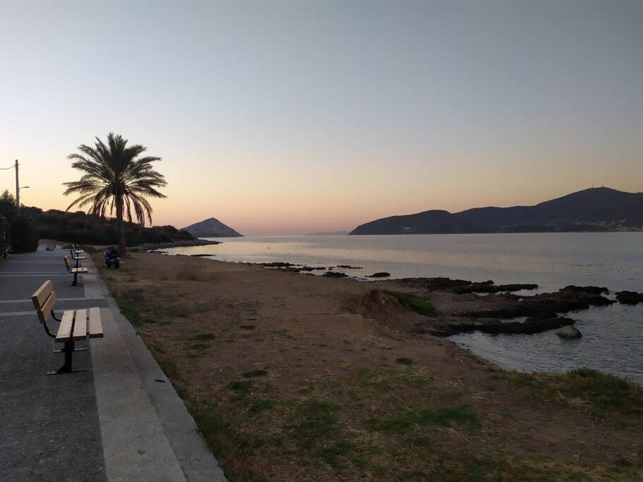 Modern Studio Next To The Sea! Πόρτο Ράφτη Εξωτερικό φωτογραφία